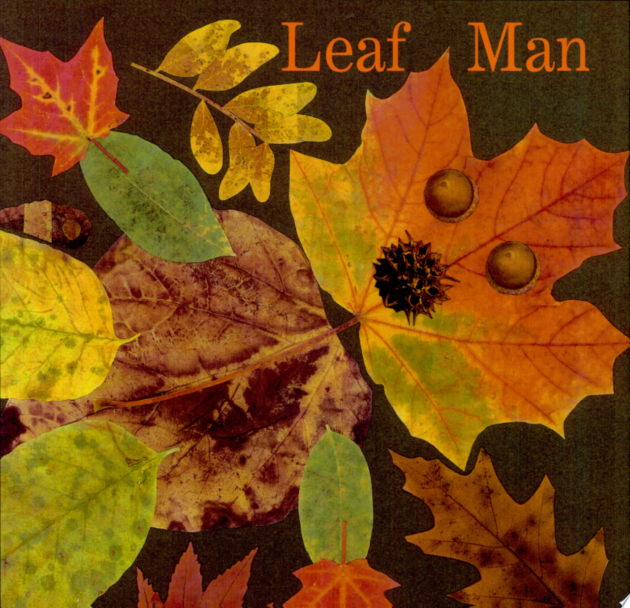 Image for "Leaf Man"