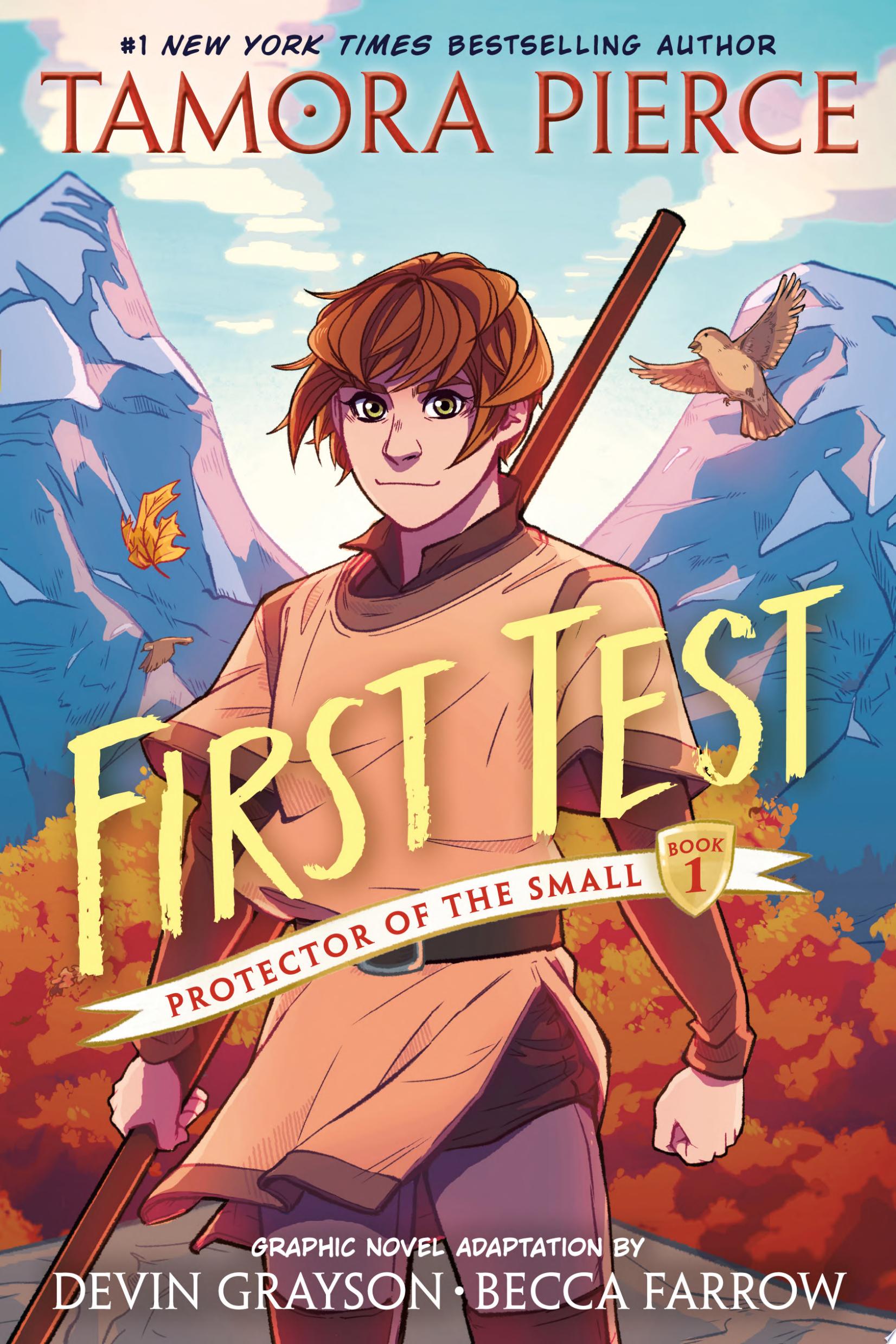 Image for "First Test Graphic Novel"