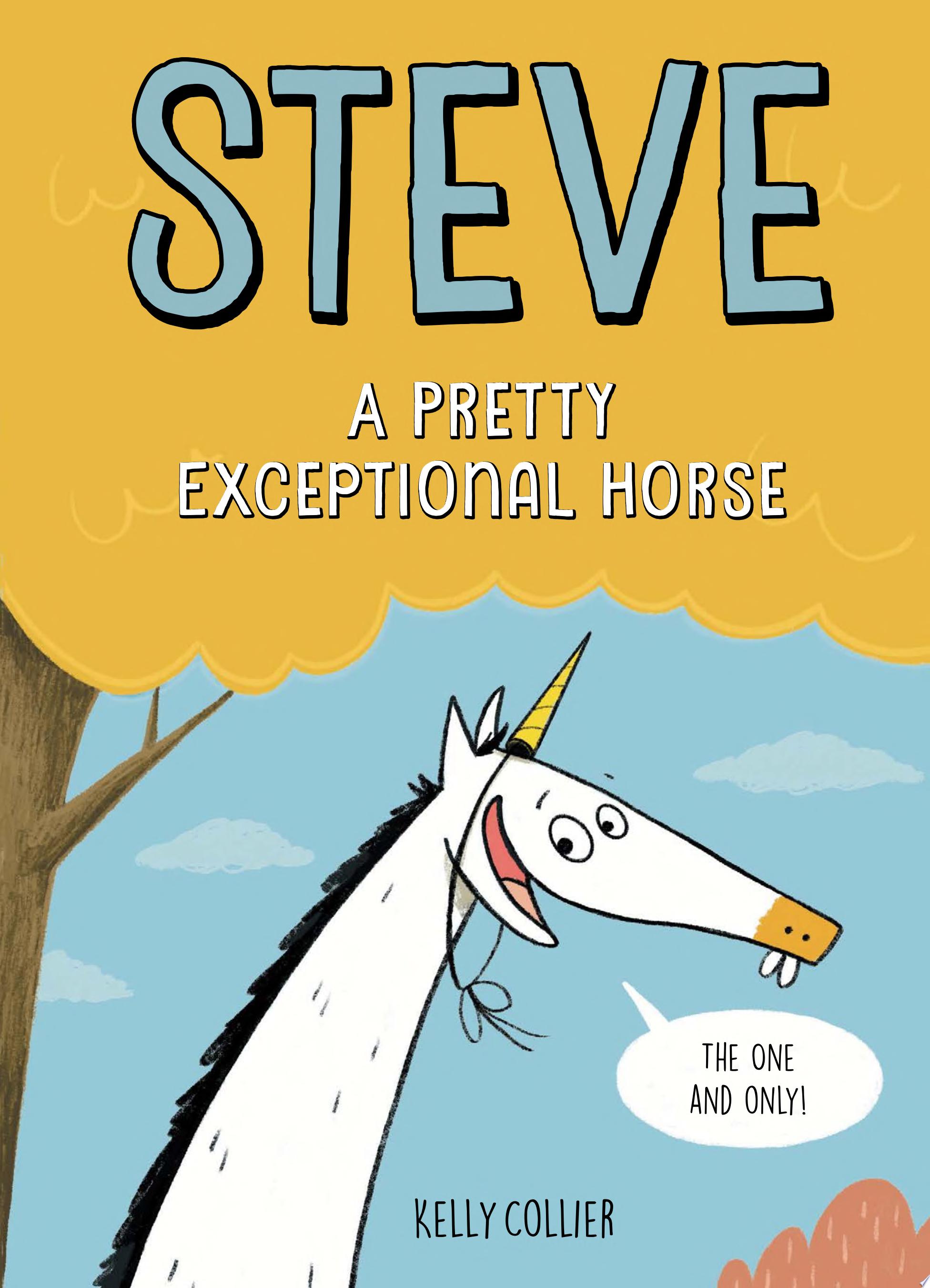 Image for "Steve, a Pretty Exceptional Horse"