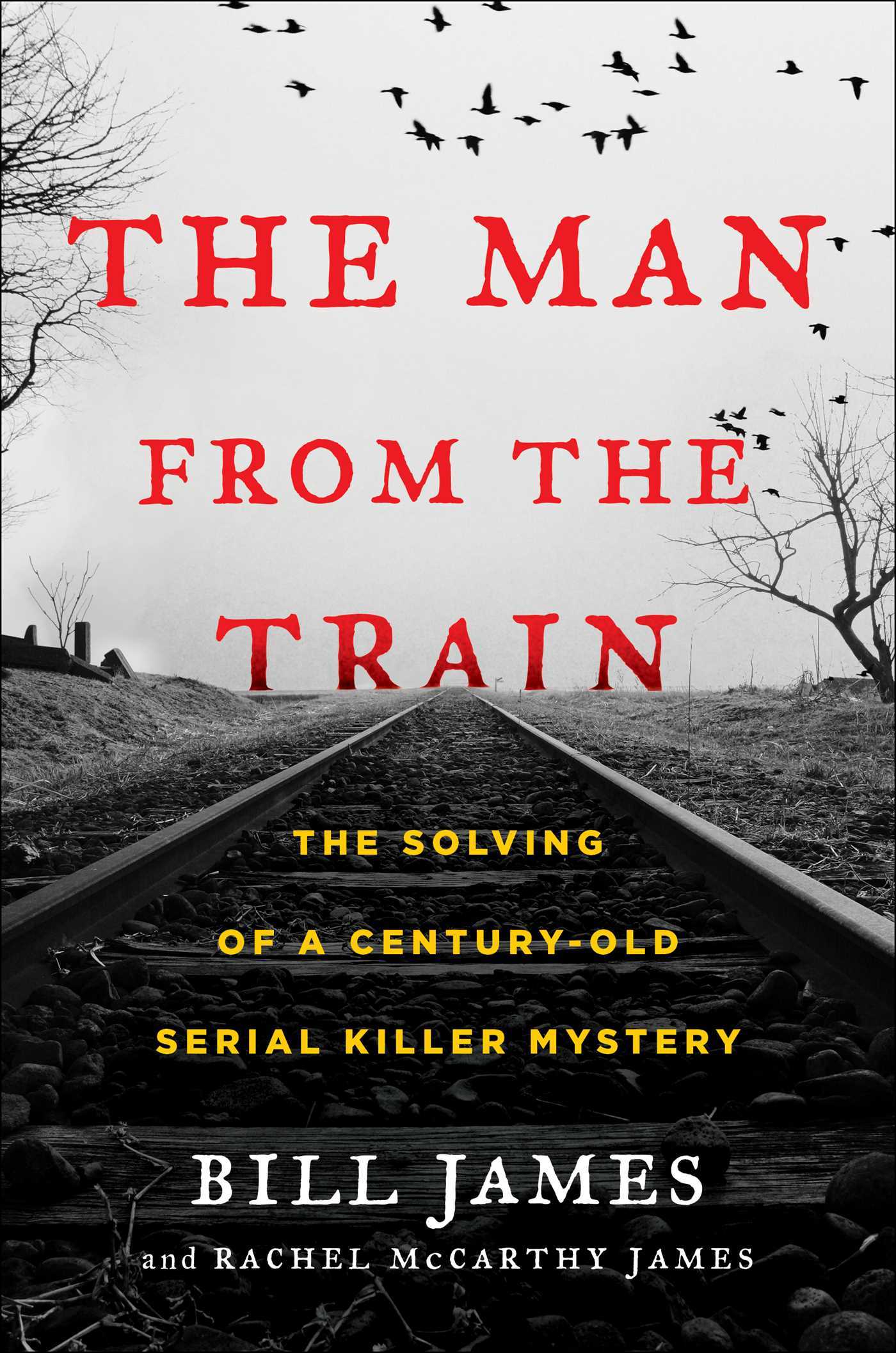 Image for "The Man from the Train"