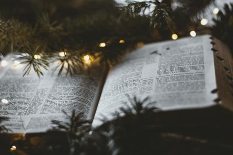 Photo of a book with evergreen branch and lights